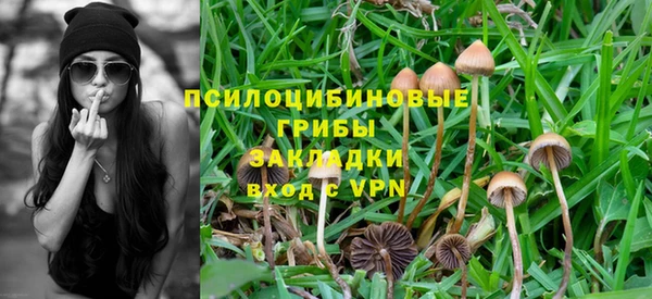 дурь Гусиноозёрск