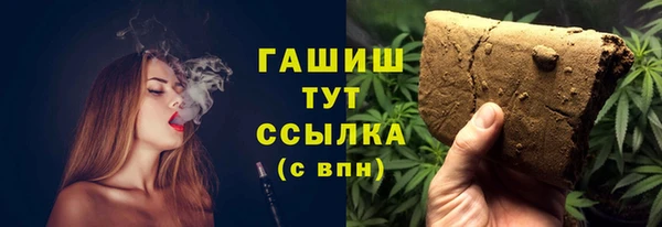 шишки Балахна