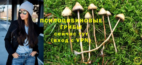 стафф Баксан